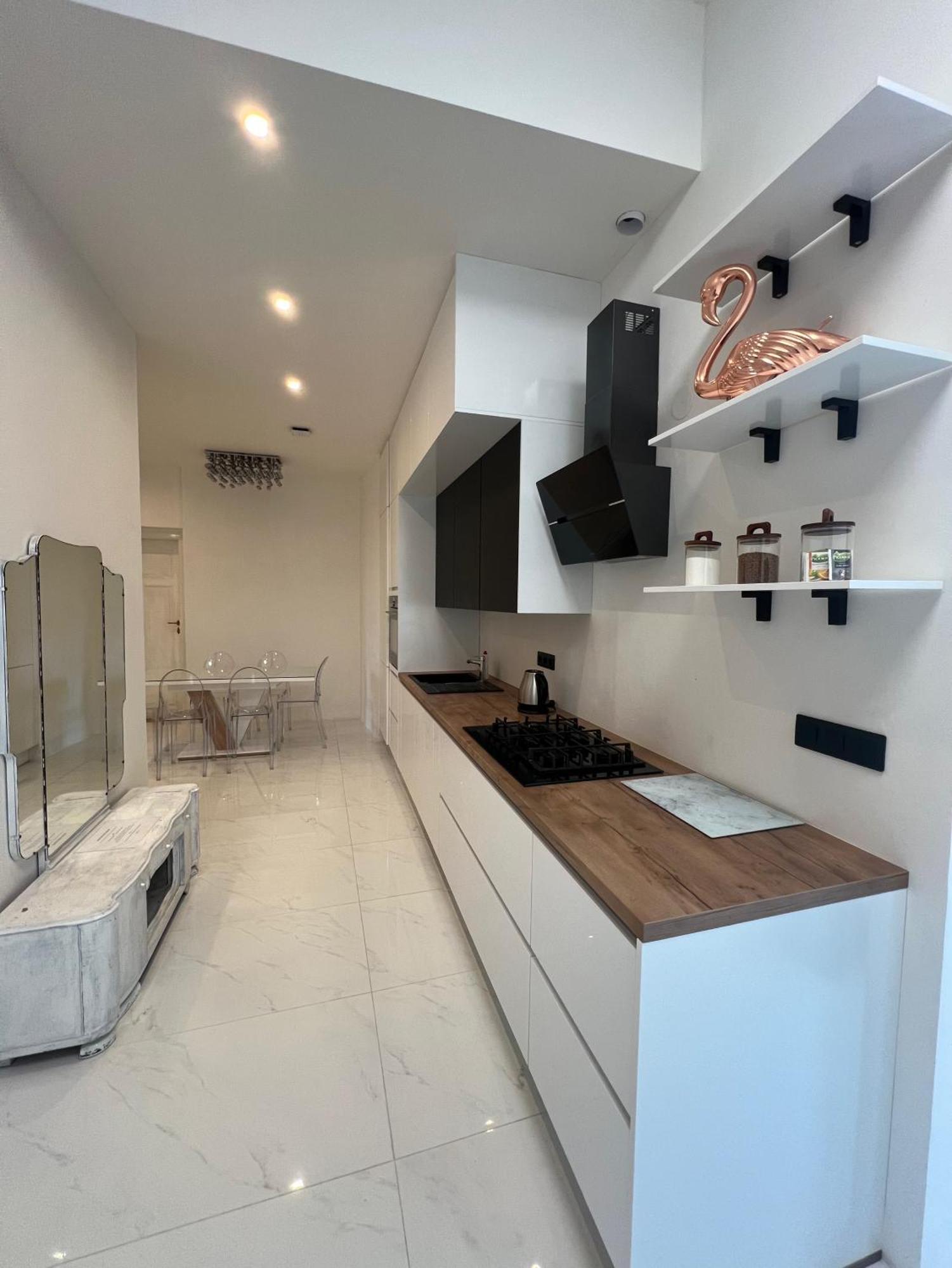 Wenceslas Square Apartment 150 M2 プラハ エクステリア 写真